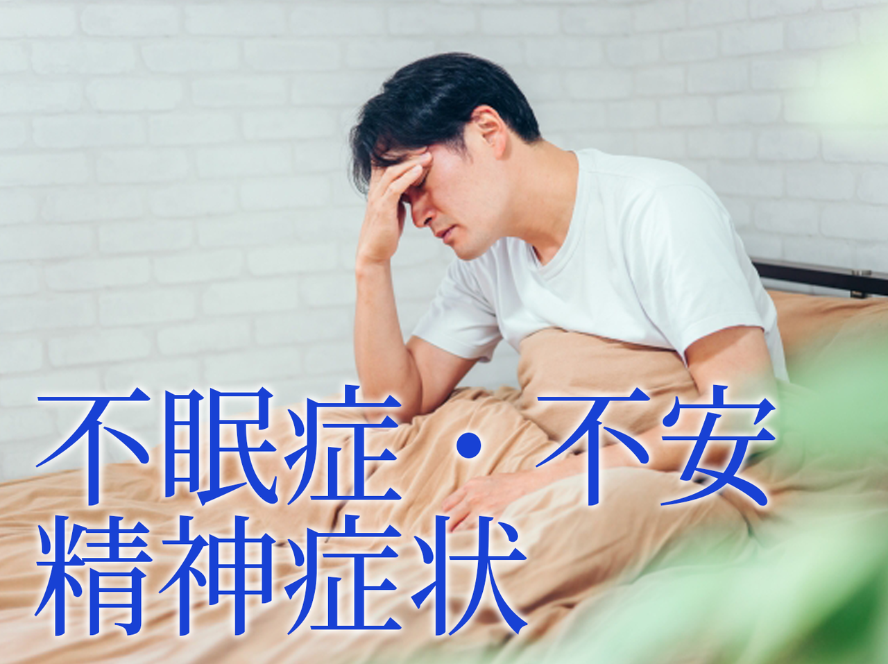 不眠症・不安・精神症状